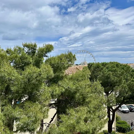 Appt 4 Couchages Cap D 'agde Ct060-281